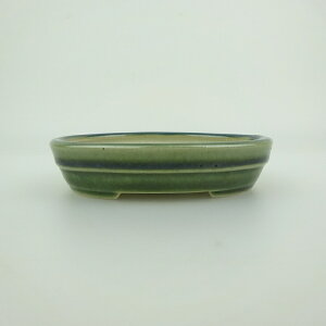 ~͔    10cm ȉ~  ֖ i 