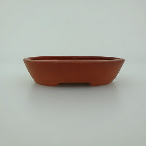 ~͔    8.4cm ȉ~ D i 