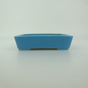 ~͔  ^  12cm  ֖ Vi ʕ 