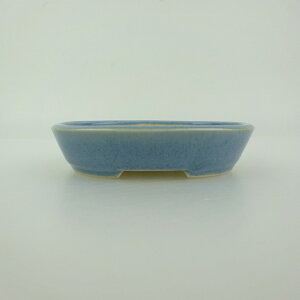 ~͔    8.5cm ȉ~ ֖ Vi ʕ