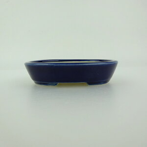 ~͔    8.5cm ȉ~ ֖ Vi ʕ