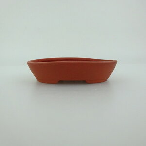 ~͔  ^  18.2cm ȉ~ D Vi ʕ