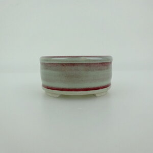 ~͔    6cm ۔ ㉺ ֖ Vi ʕ