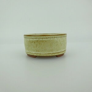 ~͔    5.8cm ۔ ㉺ ֖ Vi ʕ