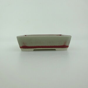 ~͔    9.3cm  ֖ Vi ʕ 