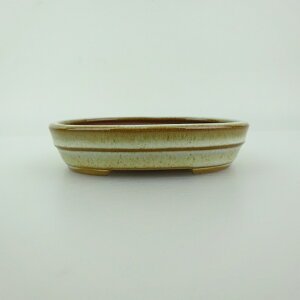 ~͔    10cm ȉ~  ֖ Vi ʕ 