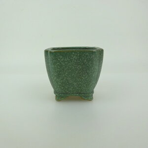 ~͔    6.5cm   _  ֖ Vi ʕ