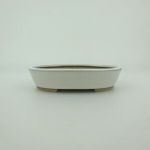 ~͔    9.8cm ȉ~ ֖ Vi ʕ 