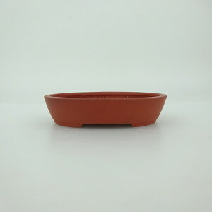 ~͔    9.6cm ȉ~ D Vi ʕ 