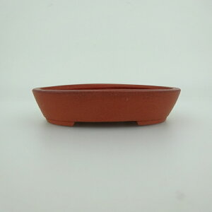 ~͔    9.8cm ȉ~ D i 