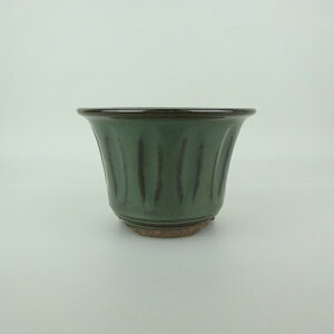 ~͔ Ό ^  13.5cm ۔ ֖ Vi ʕ