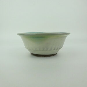 ~͔ Ό ^  12.3cm ۔ O ֖ Vi ʕ