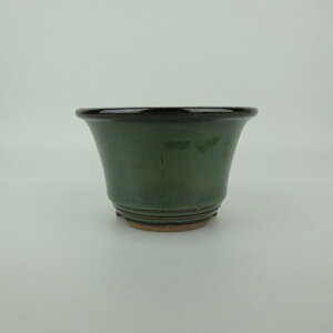 ~͔ Ό ^  11.8cm ۔ O  ֖ Vi ʕ