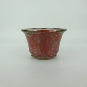 ~͔ Ό ^  11.8cm ۔ O  ֖ Vi ʕ