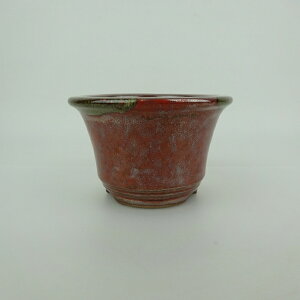 ~͔ Ό ^  11.6cm ۔ O  C ֖ Ϗܗp i Vi