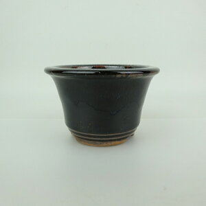 ~͔ Ό ^  11.7cm ۔ O  ֖ Ϗܗp i Vi