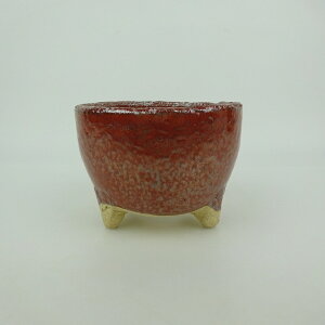 �~�͔� �M�y�� ���^ ���� ��10.8cm �۔� �M�y �y�� �� �֖� �Ϗܗp ���i �V�i