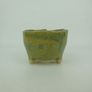 ~͔ My ^  11cm ۔ My y  ֖ Ϗܗp i Vi