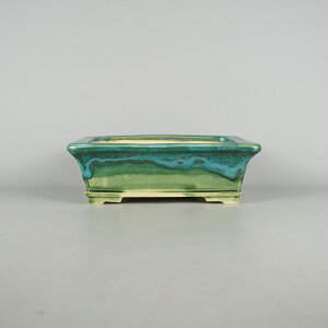 盆栽鉢 桂雲 福田桂雲 中型 長辺 約23.5cm 長方鉢 釉薬 新品 数量物 送料無料