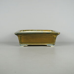 ~͔ j_ cj_ ^  23.5cm  ֖ Vi ʕ 