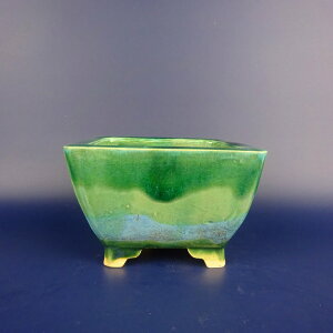 ~͔ j_ cj_ ^   12cm  ֖ i Vi 