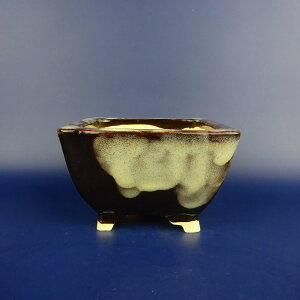 ~͔ j_ cj_ ^   12cm  ֖ i Vi 