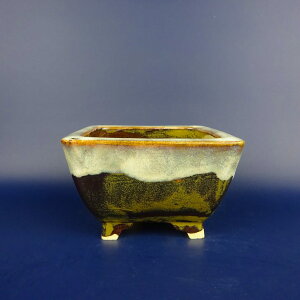 ~͔ j_ cj_ ^   12cm  ֖ i Vi 