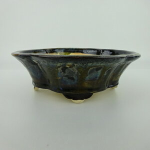 ~͔ j_ cj_ ^  18cm ؉Z O ֖ i Vi 