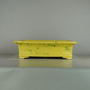 ~͔ ^R  ^   48.2cm  O   ѓ֖ i