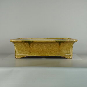 ~͔ ^R  ^   48cm  O   ѓ ֖ i