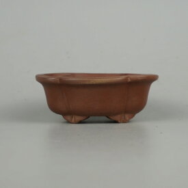 盆栽鉢 常滑 柴勝 小鉢 長辺 約7.8cm 木瓜鉢 現品 新品 送料無料