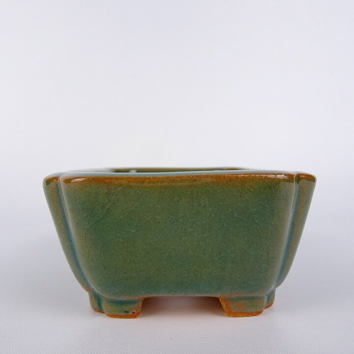 楽天市場】盆栽鉢 常滑 柴勝 小鉢 長辺 約7cm 長方鉢 隅入 緑釉 現品  