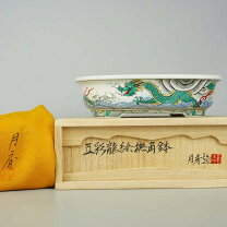楽天市場】月香 盆栽鉢の通販