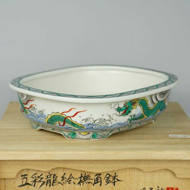 楽天市場】盆栽鉢 月香 (共布・共箱) 五彩 龍絵 撫角 長方鉢 観賞用 