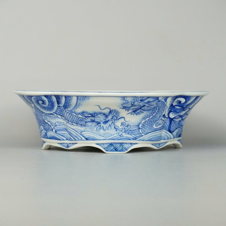 楽天市場】盆栽鉢 月香 染付 龍絵 外縁 木瓜鉢 観賞用 現品 新品 送料 