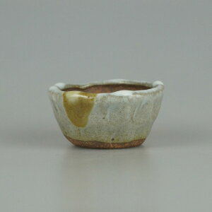 ~͔ CR   6.2cm ۔ ֖ i Vi