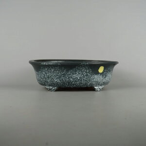 ~͔ 튊 G ^  26.2cm ȉ~ ֖ i 