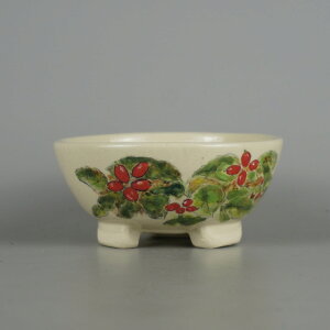 ~͔ R ^   12.3cm ۔ FG ʎ ؂̎ A Ϗܗp i Vi 