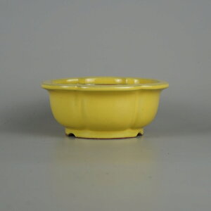 ~͔ ㋻ n O ^   13cm ։Ԕ O ֖ i Vi