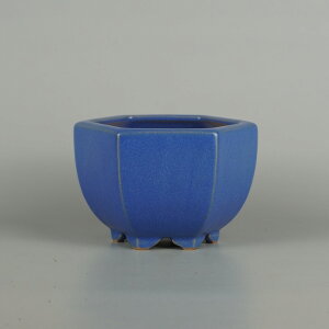 ~͔ 튊 tP ^   13cm Zp O ϗq ֖ Vi ʕ 