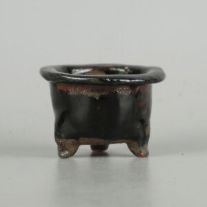 ~͔ u    5.3cm ۔ O ֖ Ϗܗp i