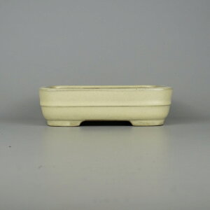 ~͔ 튊 R[ ^  18.8cm  p ؗ   ֖ Vi ʕ