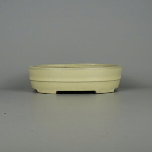 ~͔ 튊 R[ ^  19cm ȉ~ ؗ    ֖ Vi ʕ