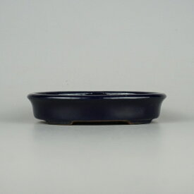 盆栽鉢 常滑 山房 小型 長辺 約13.5cm 楕円鉢 外縁 小判 瑠璃 釉薬 新品 数量物