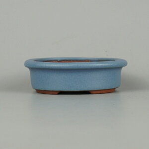 ~͔ 튊 ࠎRq p   9.5cm ȉ~ O ϗq ֖ Vi ʕ