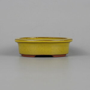 ~͔ 튊 ࠎRq p   9.5cm ȉ~ O  ֖ Vi ʕ