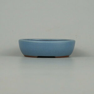 ~͔ 튊 ࠎRq p   9.7cm ȉ~ ^  ϗq ֖ Vi ʕ