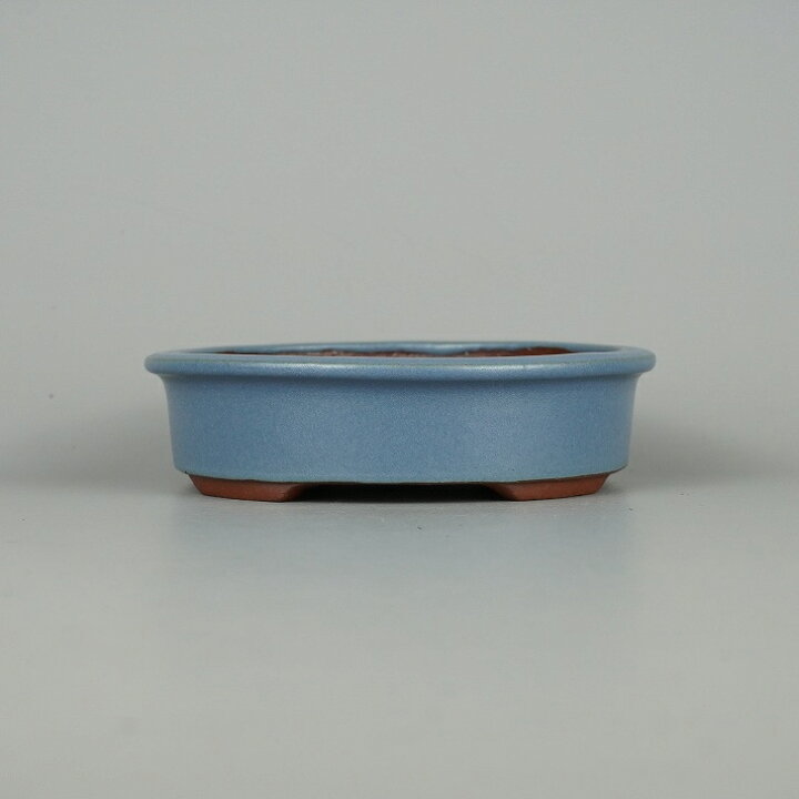 楽天市場】盆栽鉢 常滑 燿山窯 英明 小型 長辺 約14.8cm 楕円鉢 外縁 