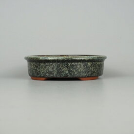 盆栽鉢 常滑 燿山窯 英明 小型 長辺 約14.8cm 楕円鉢 外縁 小判 ナマコ 釉薬 新品 数量物