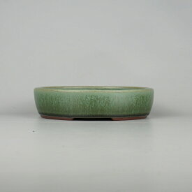 盆栽鉢 常滑 燿山窯 英明 小型 長辺 約 18.3cm 楕円鉢 ワン型 小判 緑釉 釉薬 新品 数量物